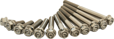 SCAR RACING Bolt - Titanium - M6 x 60 STIM6X60-01