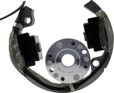 RM STATOR Stator/Rotor/Ignition Coil Kit - KTM/Husqvarna/Gas Gas RMS900-107608