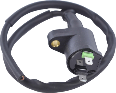 RM STATOR Ignition Coil - External RM06025