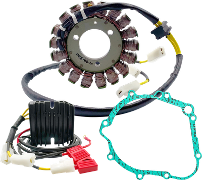 RICK'S MOTORSPORT ELECTRIC Charging Kit - Lithium-Ion - Suzuki 14-99-300