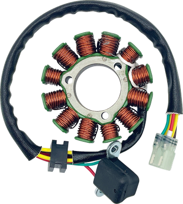 RICK'S MOTORSPORT ELECTRIC Stator - '08-'09 RMZ450 21-829