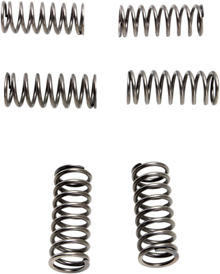 EBC Clutch Springs - 6 pcs. CSK198