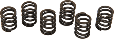 BARNETT Clutch Spring Set - TL1000R/S 501-38-06012