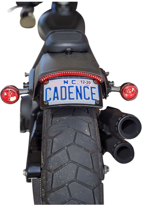 CUSTOM DYNAMICS LED Taillight with Turn Signal - Red CD-FATBOB-R