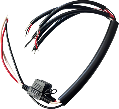 CUSTOM DYNAMICS Shark Demon® 2 Wire Harness SD2-OR-Y-HARN