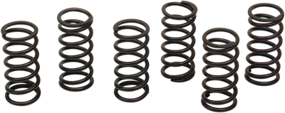 BARNETT Clutch Spring Kit 501-58-06121