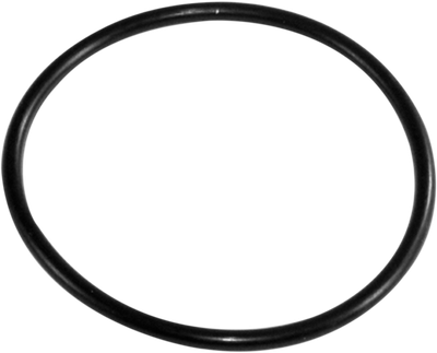 EPI Hub Seal - Front Outer WE300470