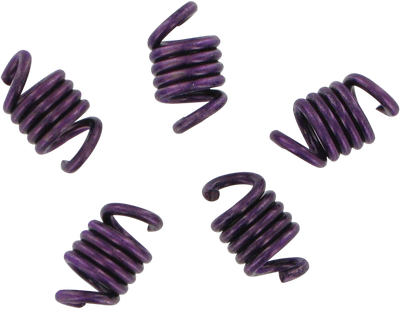 EPI Economy Clutch Kit - Spring Kit - TRX400 WE497030
