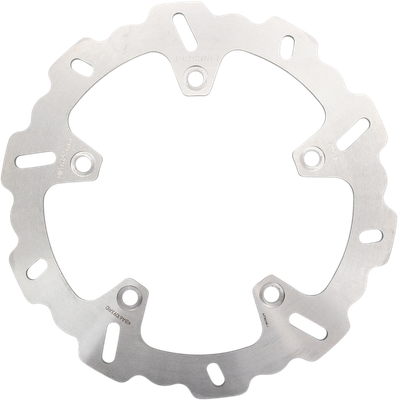 BRAKING Brake Rotor - Rear - BMW BW06RID