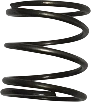 EASTERN MOTORCYCLE PARTS Pushrod Cover Spring - Big Twin | XL A-17947-36
