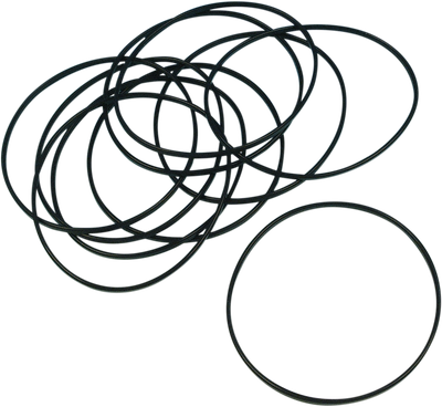 JAMES GASKET Derby Cover O-Ring - '94-'22 Sportster JGI-25463-94