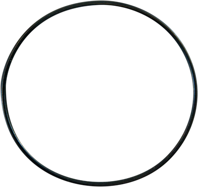 PRO CIRCUIT Replacement O-Ring PC4008-0401