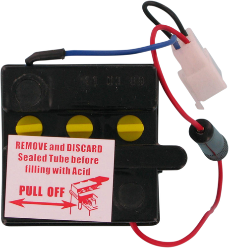 PARTS UNLIMITED Conventional Battery 6N4C1B