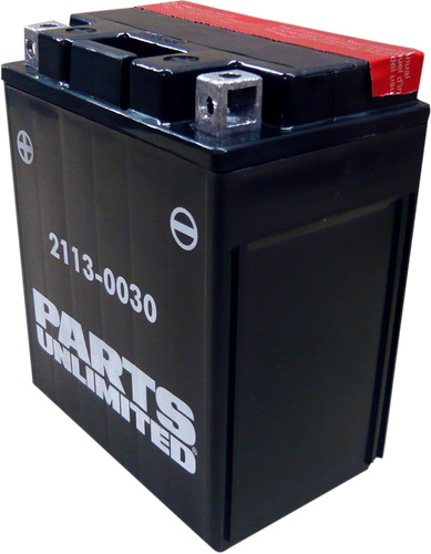 PARTS UNLIMITED AGM Battery - YTX14AHBS .798L CTX14AH-BS