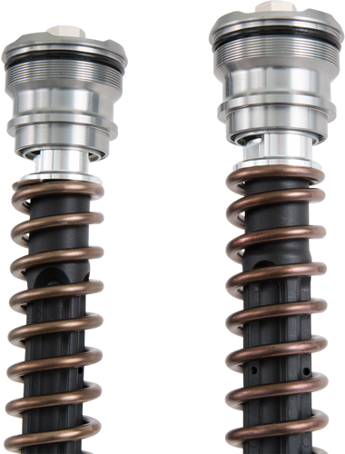 OHLINS Cartridge Kit - 30 mm (FGK239) FGK 239