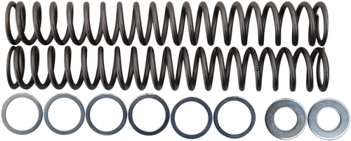 RACE TECH Fork Springs - 1.10 kg/mm FRSP S4430110
