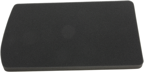 HIFLOFILTRO Replacement Air Filter - BMW HFA7603