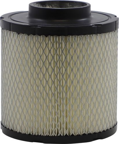 ALL BALLS Replacement Air Filter - Polaris 48-1007