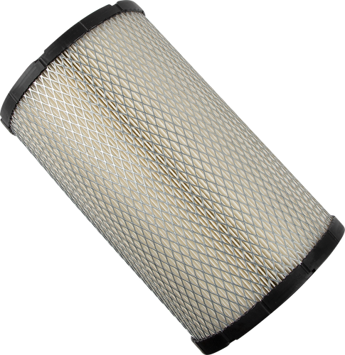 ALL BALLS Replacement Air Filter - Polaris 48-1077
