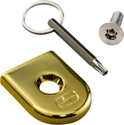 SADDLEMEN Security Seat Screw - Golden 8910GO
