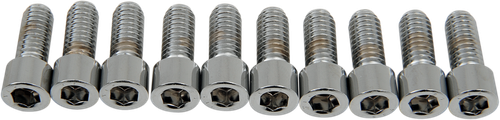 DRAG SPECIALTIES Bolts - Socket-Head - Smooth - 5/16-18 x 3/4" MPB215S
