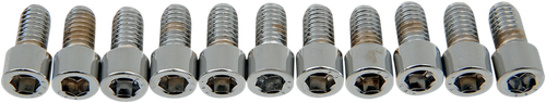 DRAG SPECIALTIES Bolts - Socket-Head - Smooth - 5/16-18 x 5/8" MPB214S