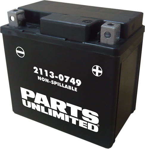 PARTS UNLIMITED AGM Battery - YTX5L CTX5L