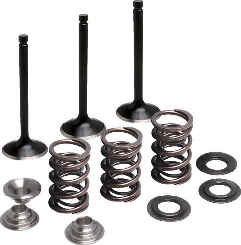 MOOSE OFFROAD Valve and Spring Kit - Intake - Yamaha M80-83050