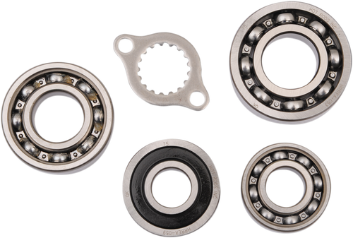 HOT RODS Bearing Kit - Transmission/Replacement - '99-'04 TRX400EX TBK0011