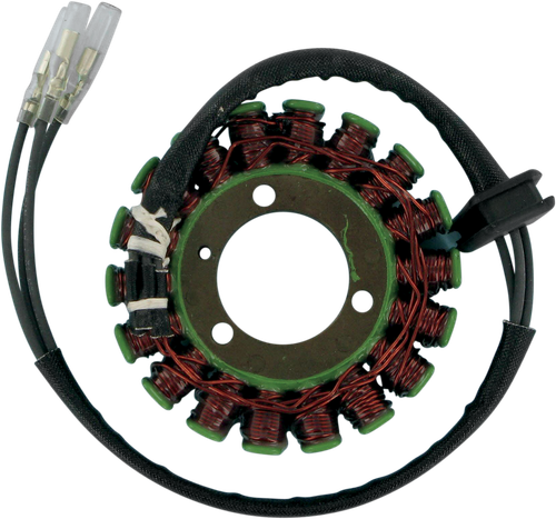 RICK'S MOTORSPORT ELECTRIC Stator - '79-'80 Kawasaki 21-201