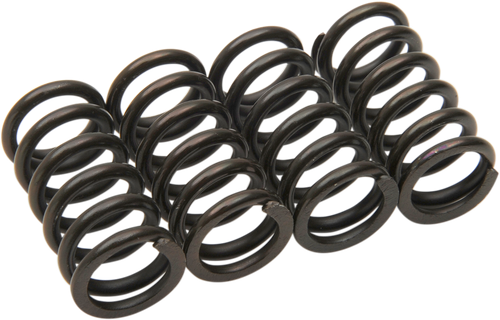 BARNETT Clutch Springs - Honda/Suzuki 501-66-04010