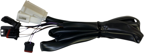 CUSTOM DYNAMICS Taillight Harness - Low Rider CD-STTL-HARN