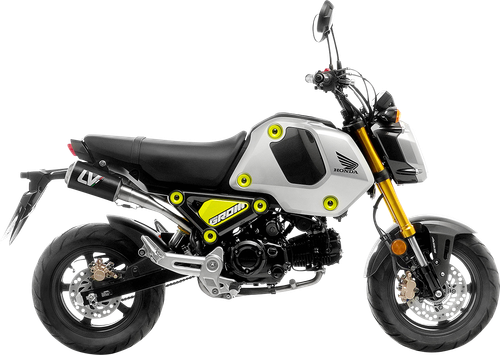LEOVINCE LV-10 Exhaust - Carbon Fiber 15253CU