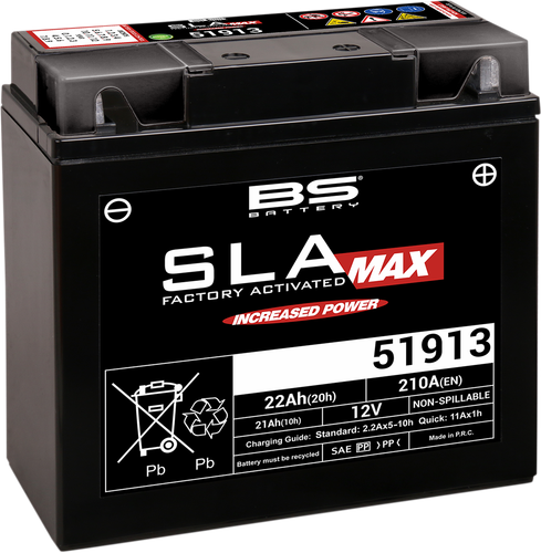 BS BATTERY Battery - 51913 300860