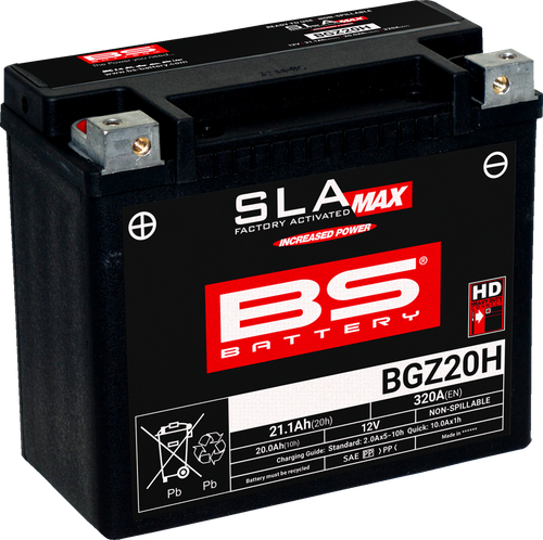 BS BATTERY Battery - BGZ20H (GYZ) 300938