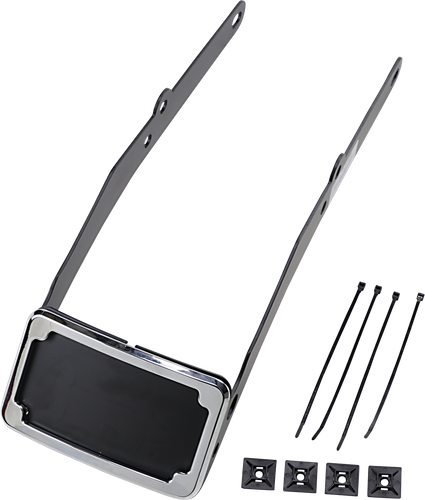 CYCLE VISIONS LP Plate Frame & Mount with Tag Light - FLSL - Black CV4665B