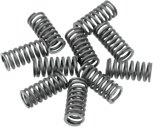EASTERN MOTORCYCLE PARTS Clutch Springs - Big Twin A-38075-41