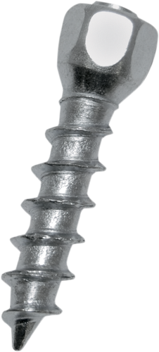 WOODY'S Screws - Attack™ - 25 mm - 100 Pack WST-0625-100