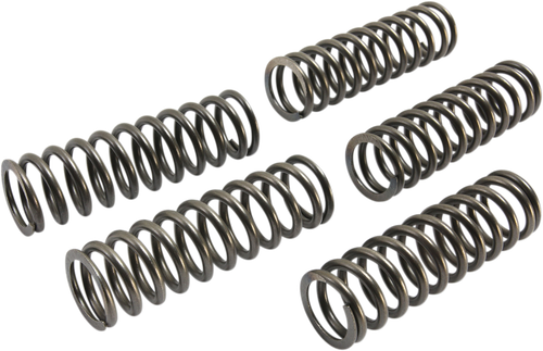 EBC Clutch Springs CSK223