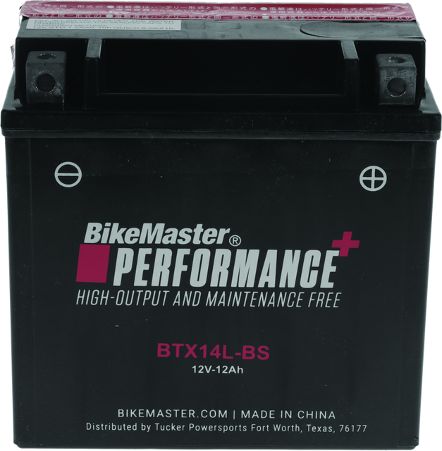 BikeMaster BTX14L-BS Maintenance-Free Powersports Battery for Harley Davidson and Buell Models
