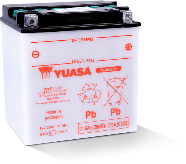 Yuasa Battery YUAM22H30TWN 12-Volt Powersports Battery for Harley Davidson 2008-2009 Models