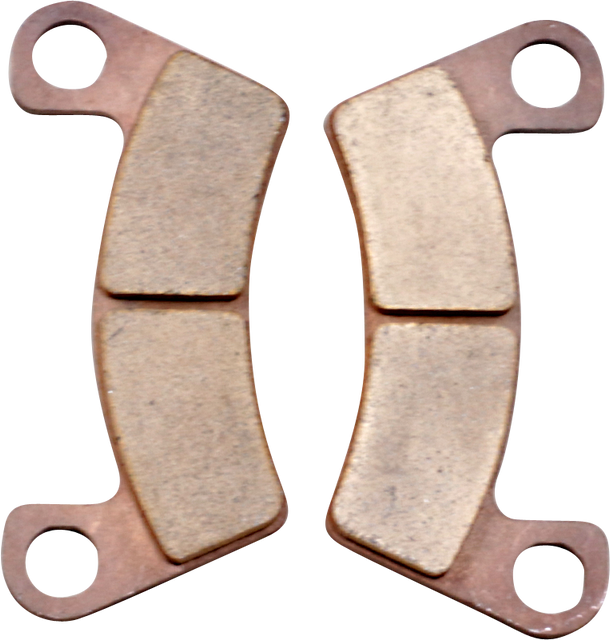 DP BRAKES Sintered Brake Pads - Textron DP594 for ATV Performance and Durability