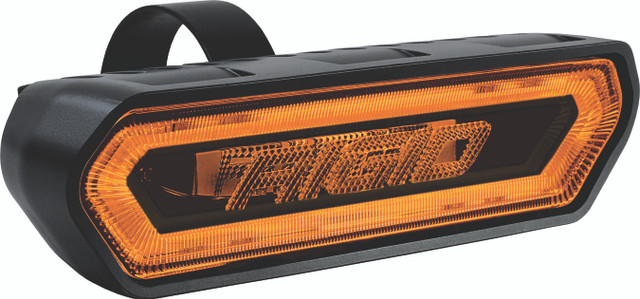 Chase Tail Light Amber