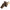 Hubbell HBLFRABN Angled Receptacle 300/400A Brown