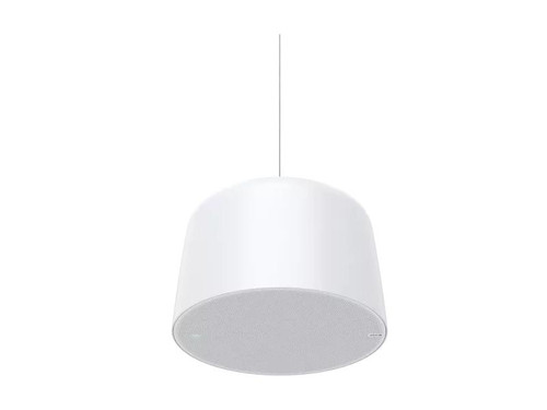 C1510 NTWK PENDANT SPK IS AN AIO SPK SY