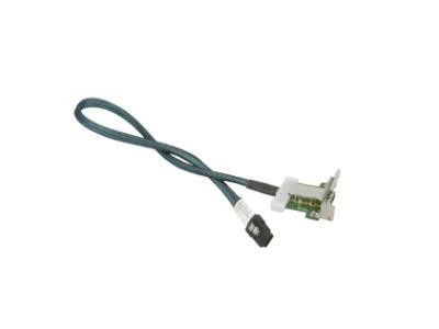 61CM 1-PORT EXT IPASS TO INT IPASS LP