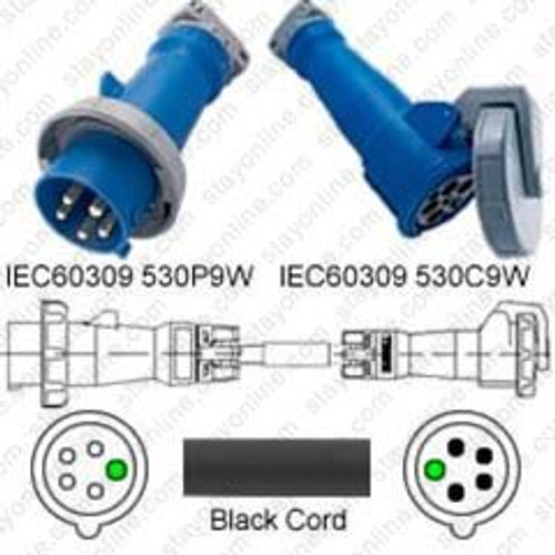 IEC60309 530P9W Male Plug to 530C9W Connector 3.0 Meters / 10 Feet 30A/208V 8/5 SOOW Black - Power Extension Cord