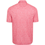 SPICED CORAL || Back
