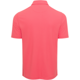 SPICED CORAL || Back