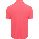 SPICED CORAL || Back